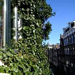 Eelhouse
